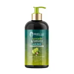 Mielle Avocado & Tamanu Après-Shampoing Anti-Frisottis – Anti-Frizz Conditioner